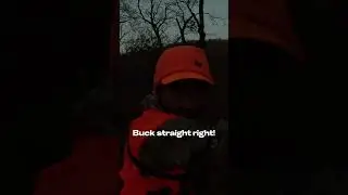 It happens fast! #shorts #buckdown #buck #publicland #hunting #publiclandhunter #missouri #rifle