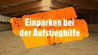 Einparken bei der Aufstieghilfe - Video Blog www.barockhengste.at