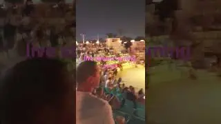 light show live stream