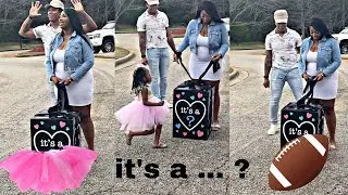 Gender Reveal- Touchdowns vs TuTus