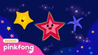 Seestern | Pinkfong Meerestiere-Lieder | Baby Shark Deutsch | Pinkfong, Baby Hai! Kinderlieder