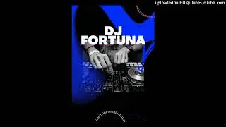 3AM EN EL PARTY REGGEATON  ( DJ FORTUNA )