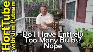How I Handle My Spring Flowering Bulbs Before Planting Time - 🌷🌹💐