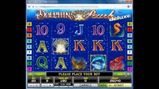 Игровой автомат Dolphin's Pearl Deluxe: режим удвоения