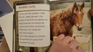 Sjældne heste 