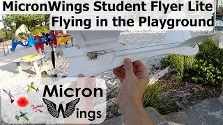 MicronWings Student Flyer Lite - In the Playground