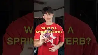 What is a spring reverb? #musicproducer #guitar #guitarplayer #audioeffects #guitarpedals #musicgear