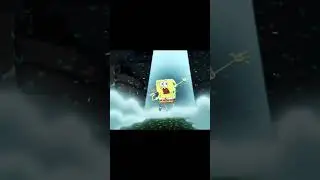 spoong bob is coming out