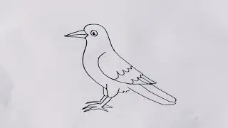 Crow drawing easy/How to draw a crow easy drawing step by step @JSdrawing 