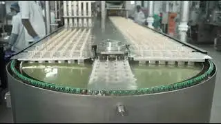 Automatic Stick line available in 4000/6000. & 12000 stick per hour 