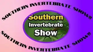 Southern invert show 2022 🤩