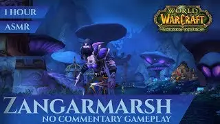 Zangarmarsh - Gameplay, No Commentary, ASMR (1 hour, 4K, World of Warcraft The Burning Crusade)