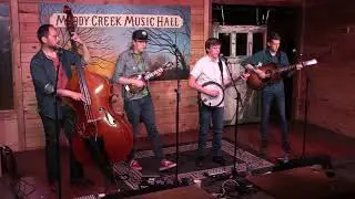 Circus No. 9 - Out of the Woods/Cool It Son - Live at Muddy Creek Music Hall