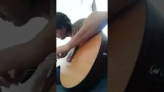 Folk music #music #guitar #guitarcover #amazing #love #tarantella #lucania #italy #passion #shorts