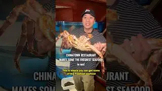 В поисках самых свежих морепродуктов в Нью-Йорке #морепродукты #рисунок