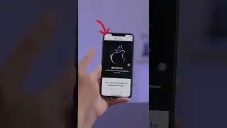 Cập nhật iOS 17 Beta cực kỳ đơn giản!! Chỉ với 3 bước??? #topzone #iphone #ios17 #ios