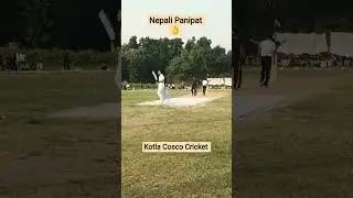 Nepali Panipat 👌v #cricket #video #ghoranwalicricketcup #local #cricketnews #ipl