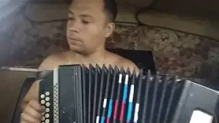 На гармони