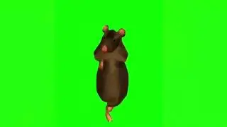 Rat Dance [Green Screen]