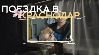 ВЛОГ | поездка в краснодар.
