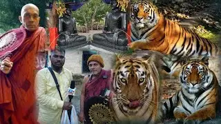 ताडोबाच्या जंगलात राहणारे न्यानज्योति भन्ते यांचे बौद्ध विहार चंद्रपूर।chandrapur Nyanjyoti Bhante