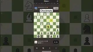 Checkmate #chesslovers #chessgame #checkmate
