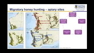 Making a Beeline for the Flowers:  A preliminary economic analysis of WA&rsquo;s migratory beekeepers