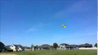 Scott Woolston's Homemade Airplane