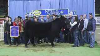 NWSS 2017: ROV Angus Bull Show