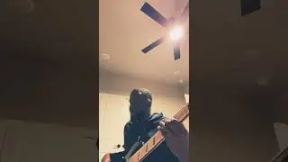 Man I need Bass cover Part 1 🤍 Olivia Dean
