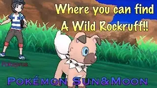 Where you can find a wild rockruff in Pok&eacute;mon sun and moon!