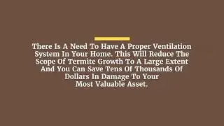 Fully Licensed Termite Control Blue Mountain