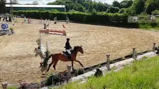 David &Scaron;tefansk&yacute; a Carellis Hobby 80/90
