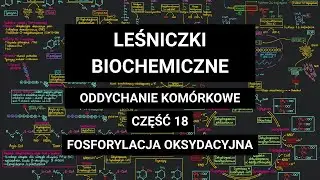 FOSFORYLACJA OKSYDACYJNA cz. 2 ‐ Inhibitory enzymów