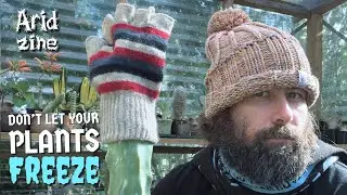 Overwintering: The FOUR definitive methods for keeping your plants alive over winter