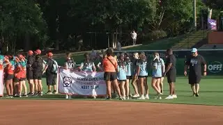 Greenville businesses spike in sales with Little League Softball World Series