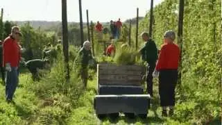 Gulpener bedrijfsfilm