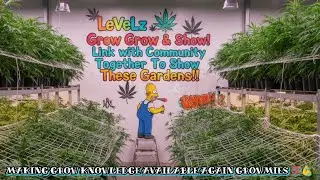 LEVELZ CANNABIS GROW & SHOW! WHERE WE ENCOURAGE ALL TYPES OF GROWERS TO COME UP & SHOW OFF UR GROWZ!