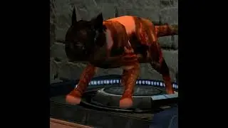 Garry's Mod: ([VJ] Cats Mega pack) Kleiner cat theme