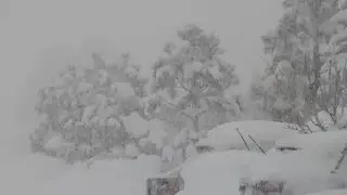 'Worst snow storm I've ever seen in Flagstaff,' resident says