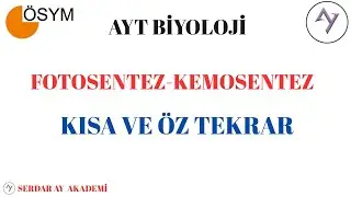 FOTOSENTEZ-KEMOSENTEZ KISAVE ÖZ TEKRAR (YKS 4.SÜNDEN)