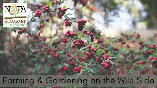 Farming and Gardening on the Wild Side with Nancy and John Hayden