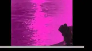 Pascal Sch&auml;fer - Tanganyika