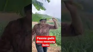 pesona gadis desa