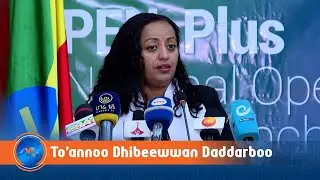Tajaajila Yaala Fayyaa Dhaqqabama Taasisuun Dhibeewwan Daddarboo Hi&rsquo;isuun Danda&rsquo;ameera