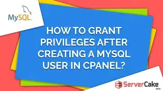 How to grant privileges to a MySQL user account in cPanel - ServerCake India