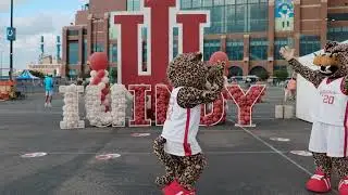 One Year of IU Indianapolis