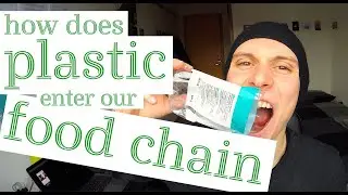 How does PLASTIC enter our FOOD CHAIN?