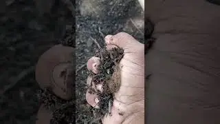 Aprenda a fazer a sua  compostagem