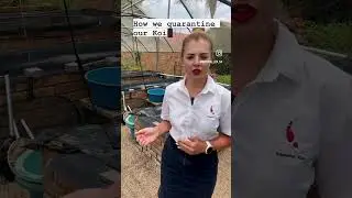 This is how we QUARANTINE our KOI!